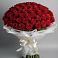 Букет 101 Красная роза Блэк Мэджик в Топках