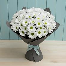 Букет цветов из:  Хризантемы в Топках