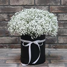 Цветочная композиция из Гипсофила в шляпной коробке в Топках