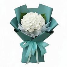 Букет цветов из:  Гортензия в Топках